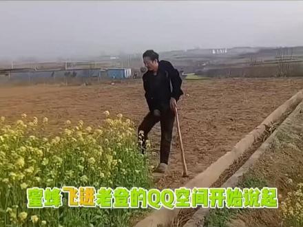 #短视频创业没流量怎么办 #看一回笑一回 #意想不到的结局#QQ会员 QQ会员还是连续升级版的。哈哈哈哈哈哈