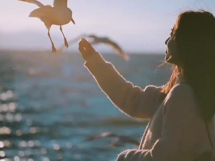 《荷塘月色》,绝美画卷,诗意盎然,不容错过!