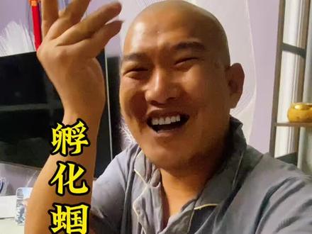 野籽蝈蝈叫声清脆 宝贝到手活蹦乱跳! 下雪天孵蝈蝈,闲着也是闲着~#萌宠 #蝈蝈 #鸣虫文化 #爬宠 #蟋蟀