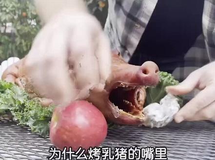 为什么烤乳猪的嘴里要放一个苹果?#涨知识 #科普 #dou出新知