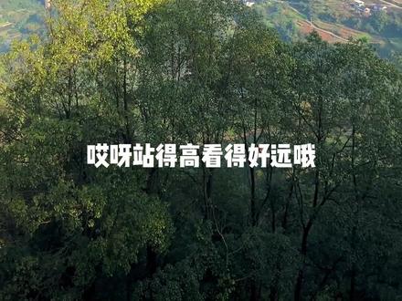 我会一直登 登登登登登#爬山徒步 #方山#真实生活分享官