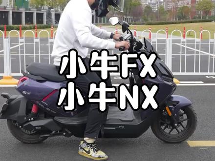 小牛FX风速版和小牛NX风速版到底应该怎么选? #小牛FX #小牛NX #小牛