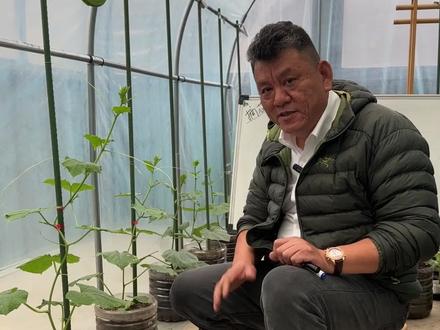 落蔓种植法更适合阳台上黄瓜的种植哦#新农人计划2023 #家庭种植 #阳台种菜 #种植小技巧 #黄瓜种植