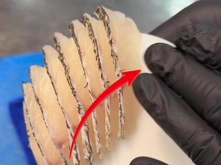 姿造模具摆鱼教程 圆形模具也能摆出贝壳的效果#原创视频