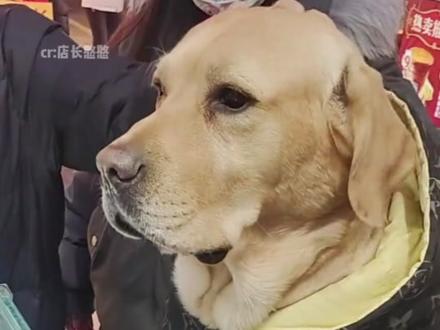 你们尊重了我的体面,而我刚好缺支烟 #流浪汉 #小狗拯救世界 #店长憨憨 #暖心