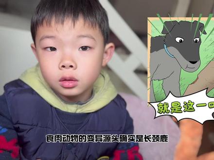 疯狂动物园2:疯狂梅花鹿 食草动物的变异源头是什么呢?难道它们吃的草也变异了!赶紧把疯狂梅花鹿做出来问问它到底吃了什么脏东西!
#疯狂动物园 #东萌村 #手工 #长颈鹿 #梅花鹿