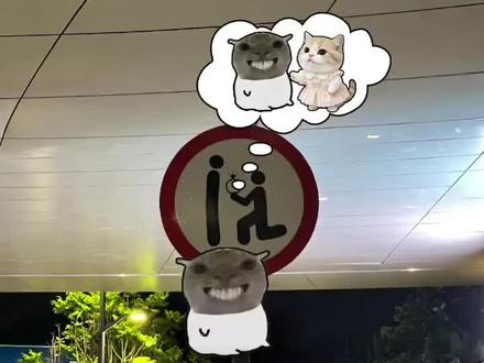 老大,我们这样幻想真的可以吗 #鼠鼠的幻想 #幻想谈恋爱