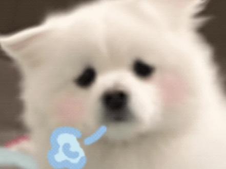 只有当过老师的才能感同身受吧