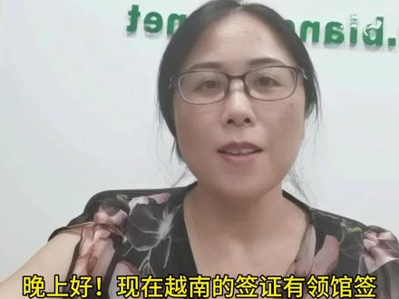 越南签证之落地签、领馆签、电子签,你最推荐哪种?#如何办理越南签证 #越南签证#越南电子签