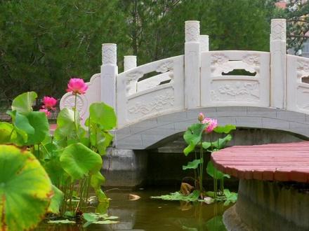 一词总结,我们的三中是什么样?