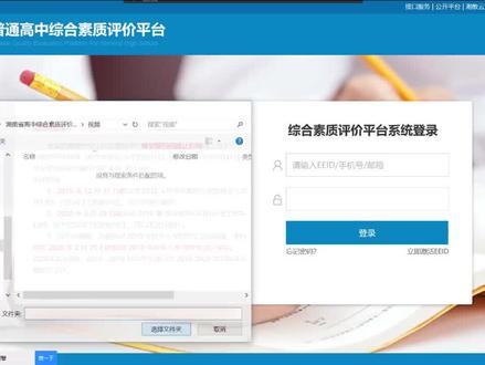 湖南省普通高中综合素质评价平台_高中生#