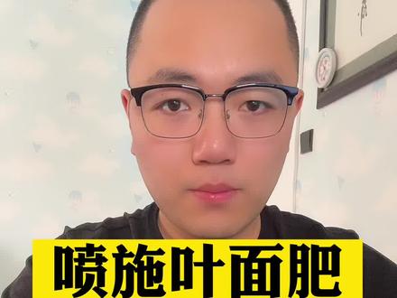 #农业 #三农 #叶面肥 喷施叶面肥的注意事项!