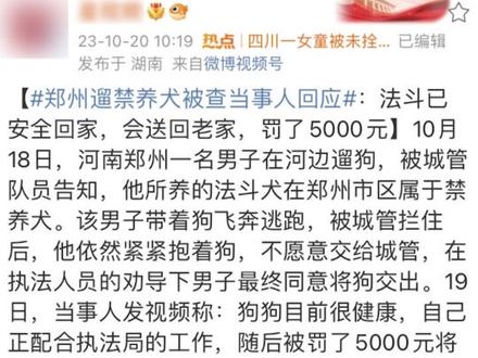 官方辟谣郑州法斗主人被罚5000元:还在走程序