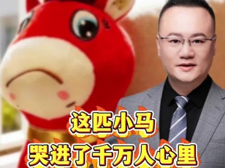 义乌阿姨手一抖,缝出全网最爆款:这匹小马哭进了千万人心里 #哭哭马公仔走红