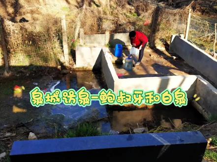 泉城访泉11-鲍叔牙和白泉
2019年3月23日,白泉,飘泉,葫芦头泉,草泉。
等了好多年的华山白泉廊道,现在还没有影子,规划中的白泉湿地公园,该是很好的保护性开发。