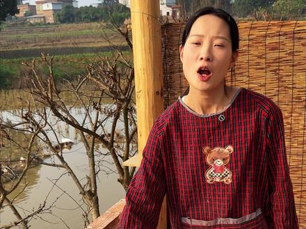 肉煮了半天煮不烂的,一定要试试这个香料草寇,炖肉软烂入味。#草寇 #香料 #家乡畔草寇