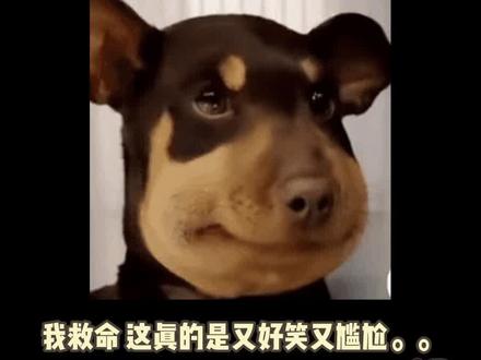 啊啊啊怎么说又尴尬又好笑哈哈哈哈#时代少年团 #时代少年团微电影 #尴尬