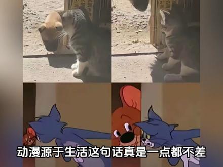 11月28日热点#热点