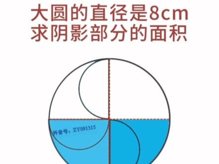 圆面积计算!动画展示,秒懂!#六年级