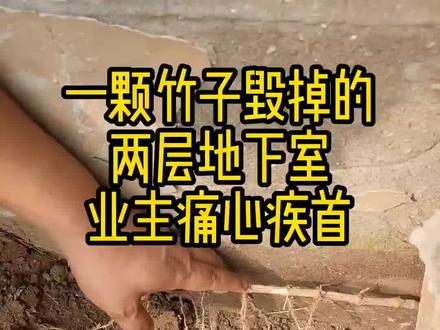 一根竹子毁掉两层地下室,有地下室的朋友,一定要小心种植物#天津查漏水 #狙击手查漏水