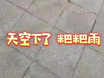 意不意外,刺不刺激,惊不惊喜,天空莫名的来了粑粑雨,我被粑粑淋了,难道我是人中龙凤,好运来临,要成大器嘛!