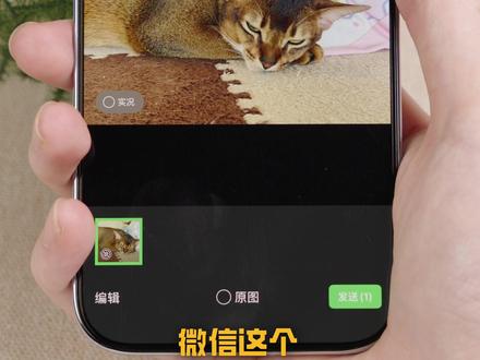 把图片从相册拖拽到 APP 才是正确的发原图方法 #iPhone#iOS#微信#苹果#硬核玩家计划