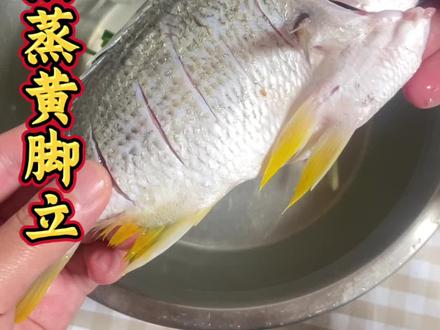跟一位大排档老师学的油盐蒸鱼,肉质紧致鲜甜,非常好吃 #鱼的花式做法 #蒸鱼#油盐蒸鱼#黄脚立