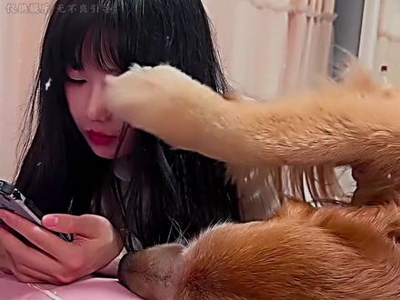 《老赵专家》年轻人终于有自己的专家了...#老赵讲道理 #专家#离谱#抽象#万万没想到