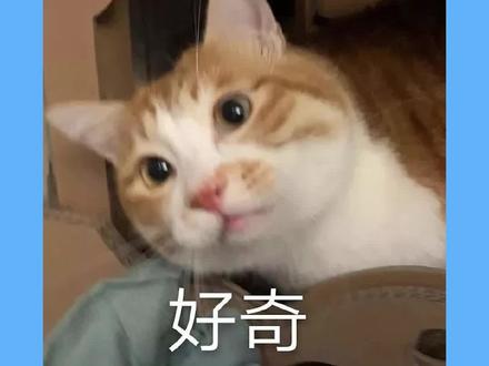 ”补录“是什么?#补录 #广东学考 #春季高考 #2023高考