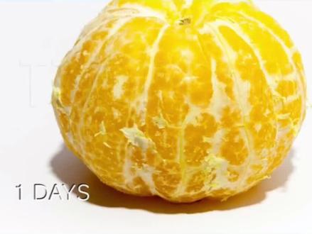 橘子腐烂过程#延时摄影#科学实验