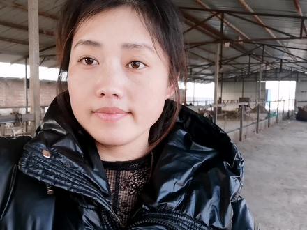 农村小规模圈养牛的基本建设,牛犊的间隔牛床为什么用水泥地面?