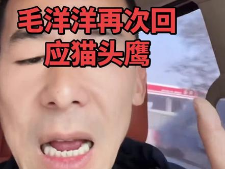 #猫头鹰 #毛洋洋 上个视频被毛洋洋刷到了气毁了