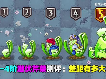 1-4阶潜伏芹菜测评:植物界的“缩头乌龟”? #植物大战僵尸2