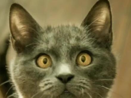 怎样把商品放在评论区 2b4a2dc645263f4a46c05dacf632fb49~tplv-dy-resize-origshort-autoq-75:330.jpeg?x-expires=2024661600&x-signature=G8%2BcqTmVJD32Lk1tptBX89pLxwA%3D&from=3213915784&s=PackSourceEnum_AWEME_DETAIL&se=false&sc=cover&biz_tag=pcweb_cover&l=202403012256259197C921990BCA2C99BA