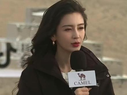 总结:小粉丝真挚但无脑,打工人悲催且无奈#anglababy #杨颖 #杨颖angelababy