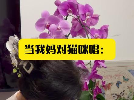 爱妃:是你是你行了吧? #是谁把你带到人世间 #老人与猫 #真香老妈 #记录猫咪日常 #猫咪的迷惑行为