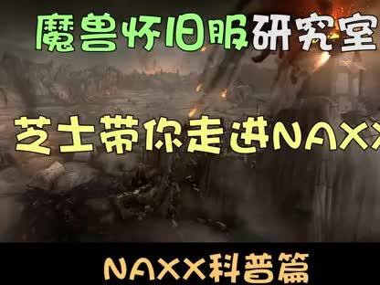 NAXX简单科普,芝士分享 #魔兽世界怀旧服