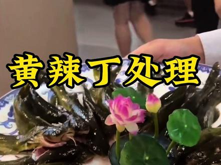黄辣丁怎么处理#创作灵感 #巴蜀辣韵王康权 #蜀煮厨 #黄辣丁 #椒煮厨