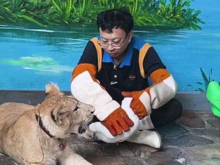 奶爸教小毛捕食#哈尔滨极地公园#哈尔滨旅游攻略