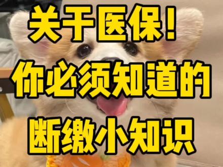 刷到好几个工作没多久就被迫离职的毕业生了,准备出一个五险一金系列,有人想听吗#医保 #就业 #五险一金 #干货分享 #信息差