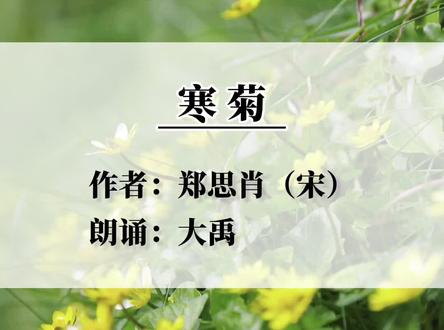 宁可枝头抱香死何曾吹落北风中寒菊郑思肖