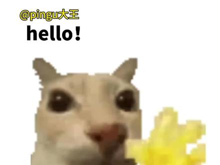 新年就用hello打招呼,新年流行hello打招呼#新年就用hello打招呼 hello挥手模板,hello猫怎么做,hello猫,hello挥手小猫,hello挥手音频出处,#剪映#哈喽小猫#哈喽
