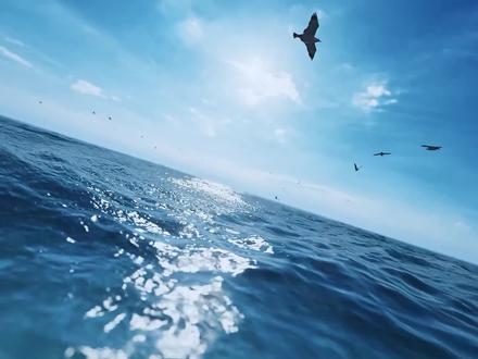 祖国统一,台湾当归!东部战区发布重磅MV《回家才会赢》 #祖国统一台湾当归 #东部战区 #重磅MV