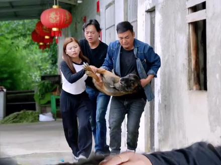 巴图生病了,做手朮,我们一起为它加油!