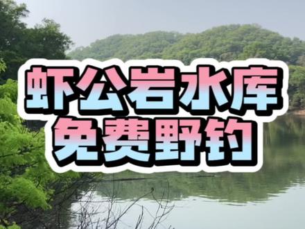 #钓鱼 #野钓 虾公岩水库免费野钓,偶尔有惊喜。 #深圳 #2023dou来钓鱼