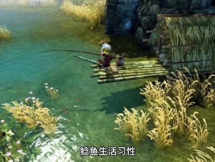 下雨天来了,我们一起钓鲶鱼#@DOU+小助手 #野钓技巧 #钓鱼技巧