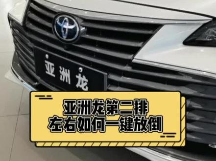 这样的设计是不是有点“脱裤子放P多此一举” #丰田 #亚洲龙 @一汽丰田