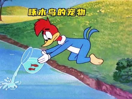 啄木鸟的宠物 啄木鸟因养宠物被主人逐出家门#青年创作者成长计划 #搞笑 #搞笑动画 #搞笑配音 #看一遍笑一遍