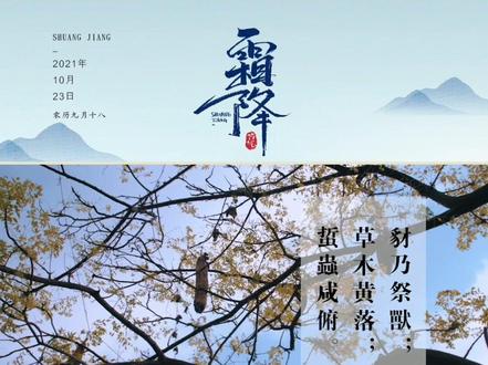 霜降,是秋季的最后一个节气。此时树树秋声,山山寒色,冷空气频繁南下,北方的树木也日渐萧条。
古人便将霜降分为三候:一候豺乃祭兽;二候草木黄落;三候蜇虫咸俯。意思是说猛兽开始捕获猎物准备过冬;而树叶则逐渐枯黄掉落。
晚秋时节的肃杀景象容易引人忧思,使人意志消沉。而茶有清心凝神的功效,可以使人心清气爽,这个时节来一杯热茶是最合宜的,深秋茶清,素瓷琼浆,忽如飞雨洒轻尘,何须苦心破烦恼。#高端茶叶 #原创产品 #美好雅致茶生活