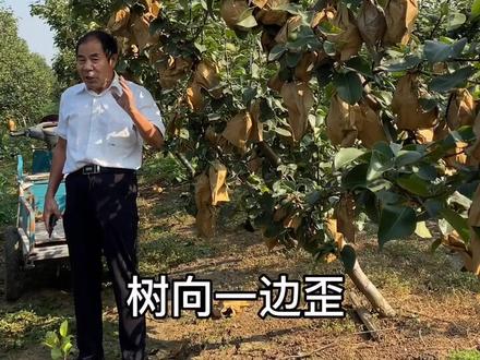 关注蔡英明,轻松做农业#农业